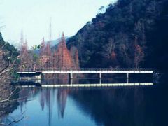 android_upload_pic-天明山温泉大酒店