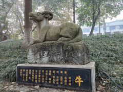 -房湖公园
