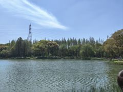 -新洲生态园