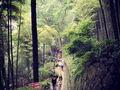 -莫干山风景区