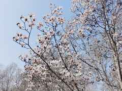 -雍和宫(地铁站)