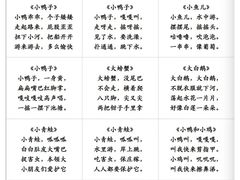 -澳洲袋鼠早教(南二环店)