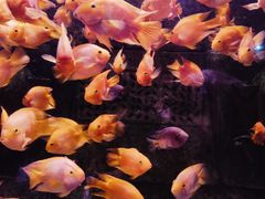 -北京海洋馆