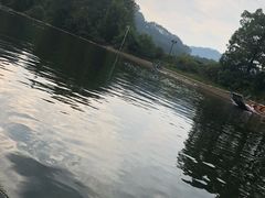 -九曲溪竹筏码头