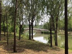 -东郊湿地公园