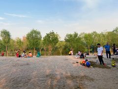 -东郊湿地公园