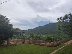 -开平碉楼文化旅游区马降龙景区