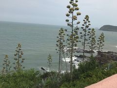 -漳州滨海火山岛自然生态风景区