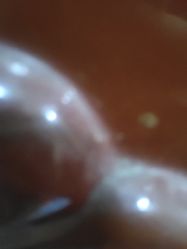 -美丽匯形象定制