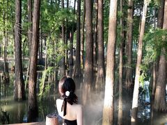 -东湖落雁景区