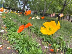 -国家植物园南园