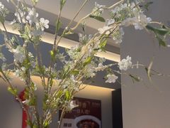 -羊门客在·烤盐池滩羊·川菜