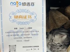 -纳吉亚猫专科动物诊疗中心(蒋宅口分院)
