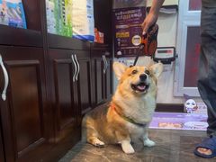 -宠爱国际动物医院·消化内科·心肾内科·ISFM猫友好(望京店)