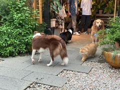 -自由生长植物工作室(深港花卉中心店)