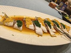 -九十九顶毡房(清河店)