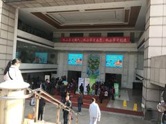 -中国福利会少年宫