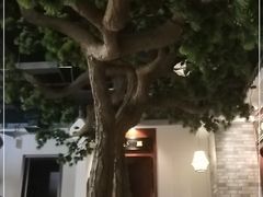 -古越舫·精品杭帮菜(商都路店)