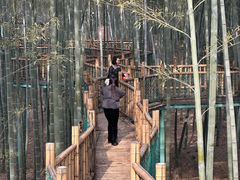 -陶祖圣境风景区