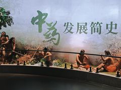 -广东中医药博物馆