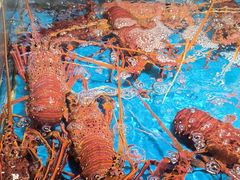 -徐记海鲜(大雁塔|金都店)