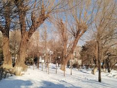 -长春市南湖公园