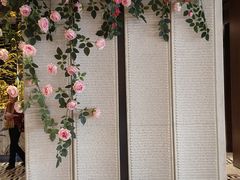 -一麦·龙岛(上海青浦店)