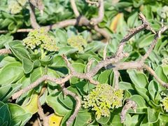 -龙坑生态保护区