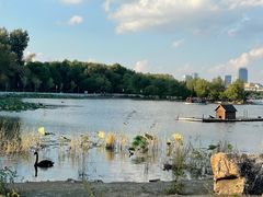 -长春市南湖公园