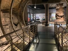 -乐山乌木文化博览苑