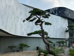 -罗红摄影艺术馆