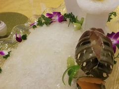 -国际金钻海鲜餐厅