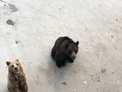 -哈尔滨北方森林动物园