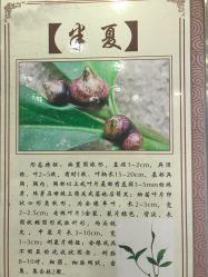 点击看大图 -河南中医药大学第一附属医院·皮肤美容