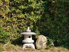 -河源客天下-温泉小镇