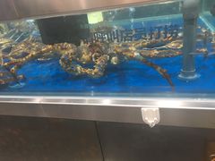 -盒马鲜生(红莲店)