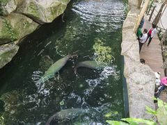 -青青世界