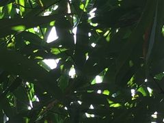 -江渔兒酸菜魚專門店(顺盈时代广场店)