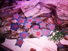 -沈阳海洋探索中心