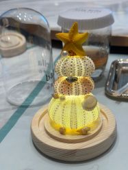 -baby bella小贝拉母婴护理中心(杭州凯宾斯基酒店)