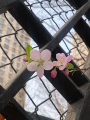 -Lumi露米·美甲美睫品质店