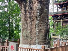 -安溪清水岩