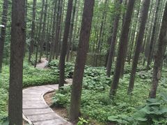 -洛阳白云山景区