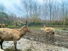 -溱湖国家湿地公园