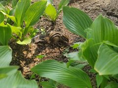 -长春市南湖公园