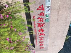 -可可托海景区