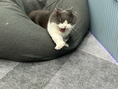 -1013 PET SHOP 宠物商店(近铁城市广场店)