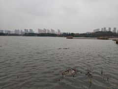 -尚贤河湿地