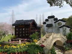 -苏州上方山国家森林公园