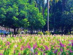 -华南师范大学(广州大学城校区)